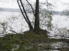 biber029.jpg
